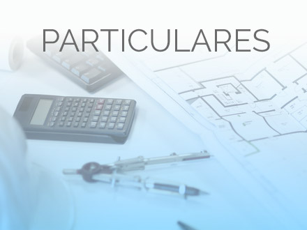 servicios particulares